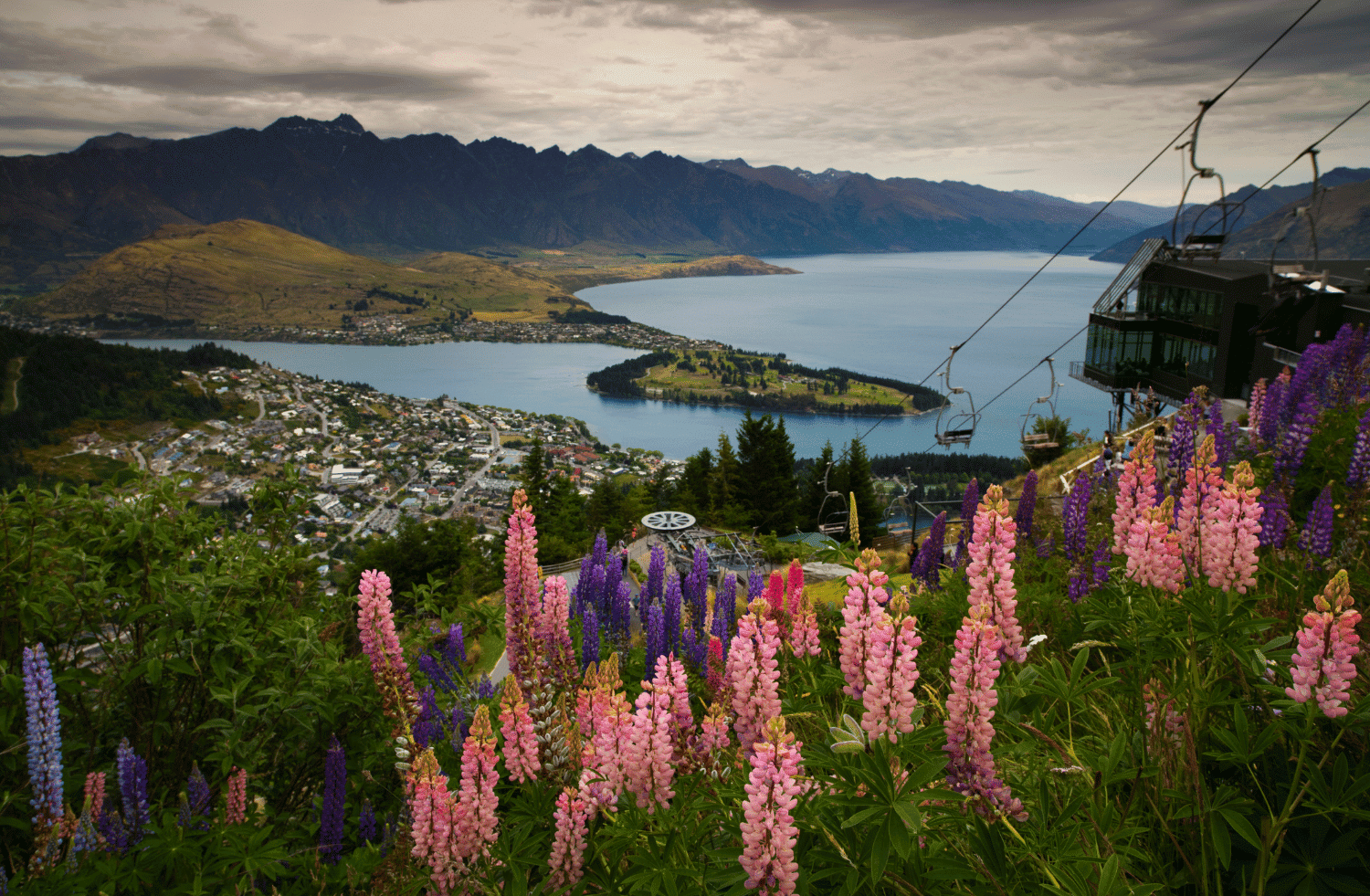 Queenstown Unleashed The Convenience of Queenstown Rent a Car NZ Rent A Car Nationwide Ltd