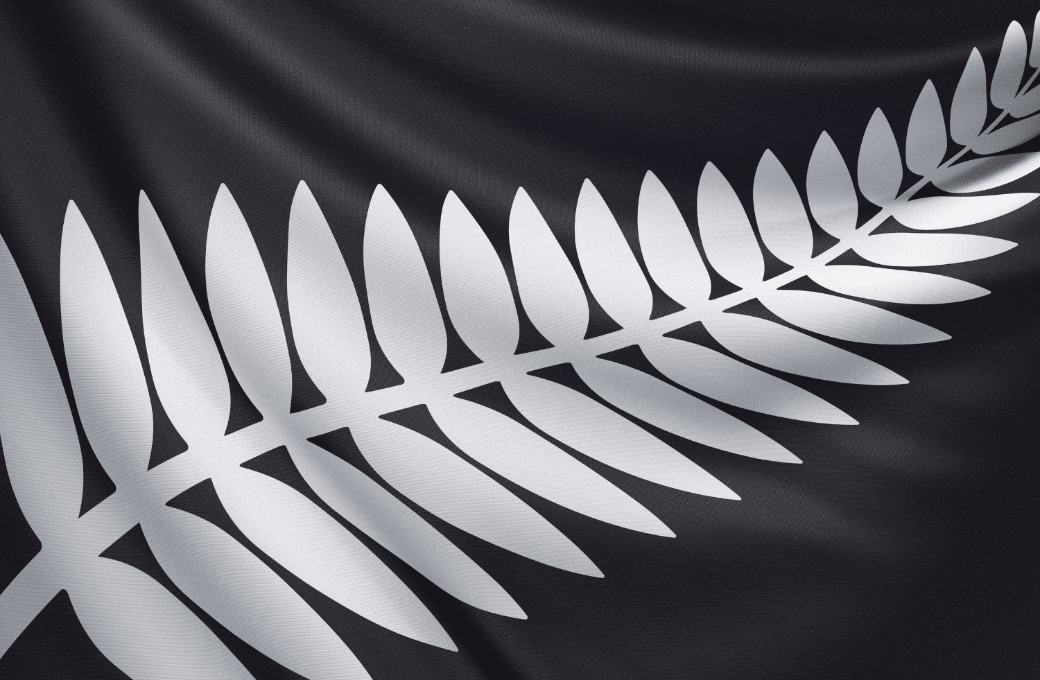 Greymouth's Culinary Delights A FamilyFriendly Exploration with Car