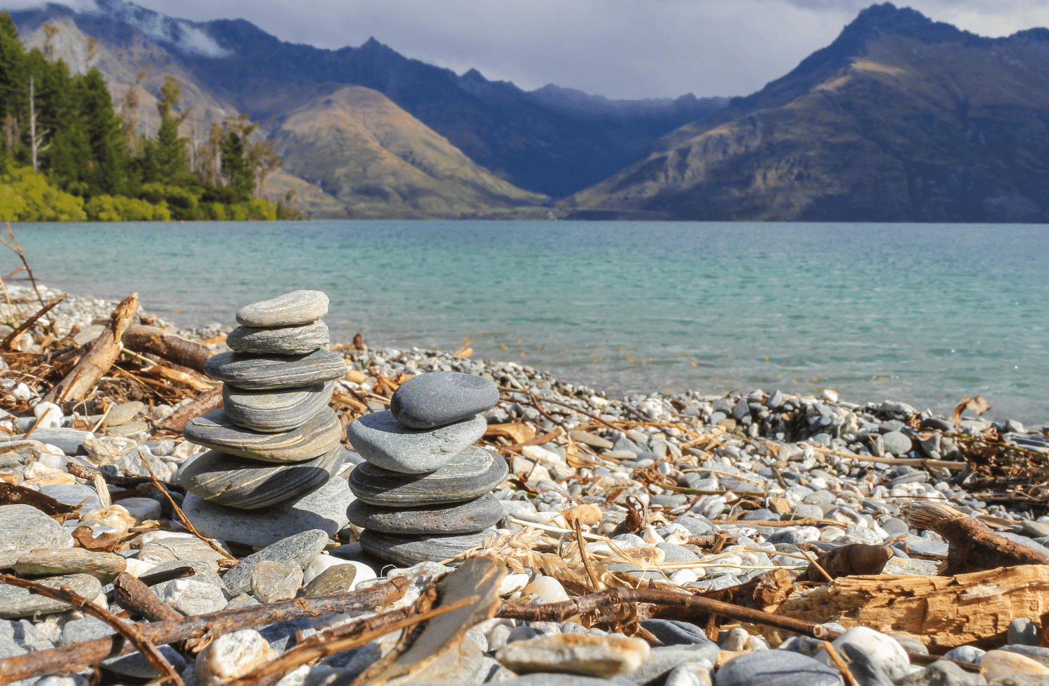 Queenstown's FamilyFriendly Nature Escapes with a Van NZ Rent A Car