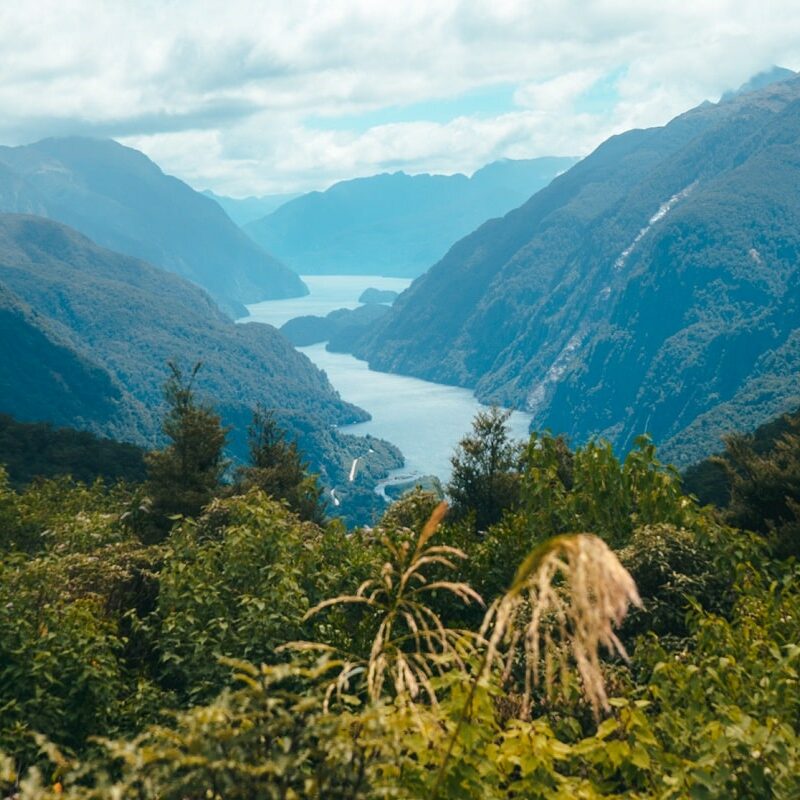 Doubtful sound