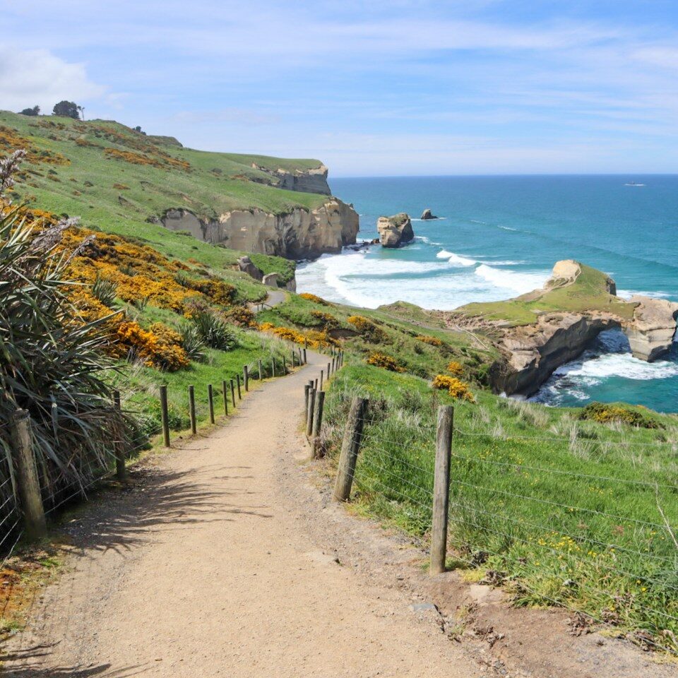 Otago Peninsula Walks