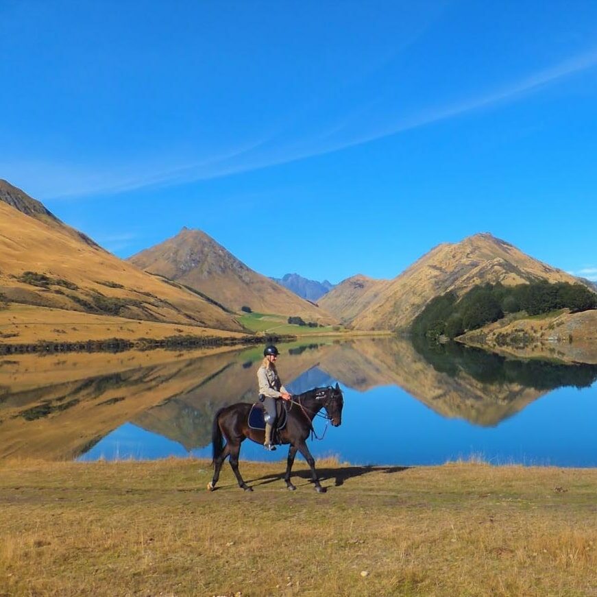 Horse trekking