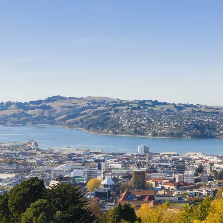 NZ Rent A Car Dunedin -mobile-min