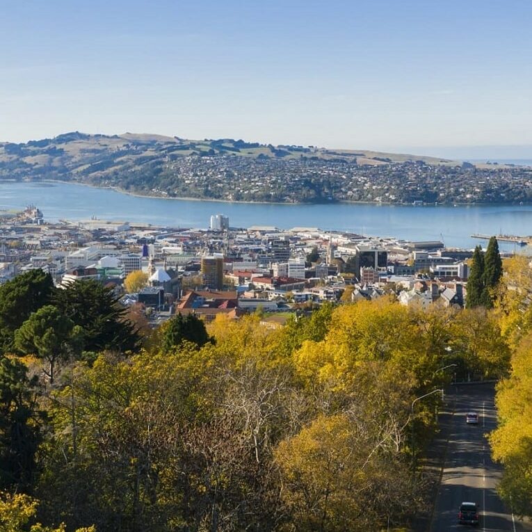 NZ Rent A Car Dunedin mobile-min