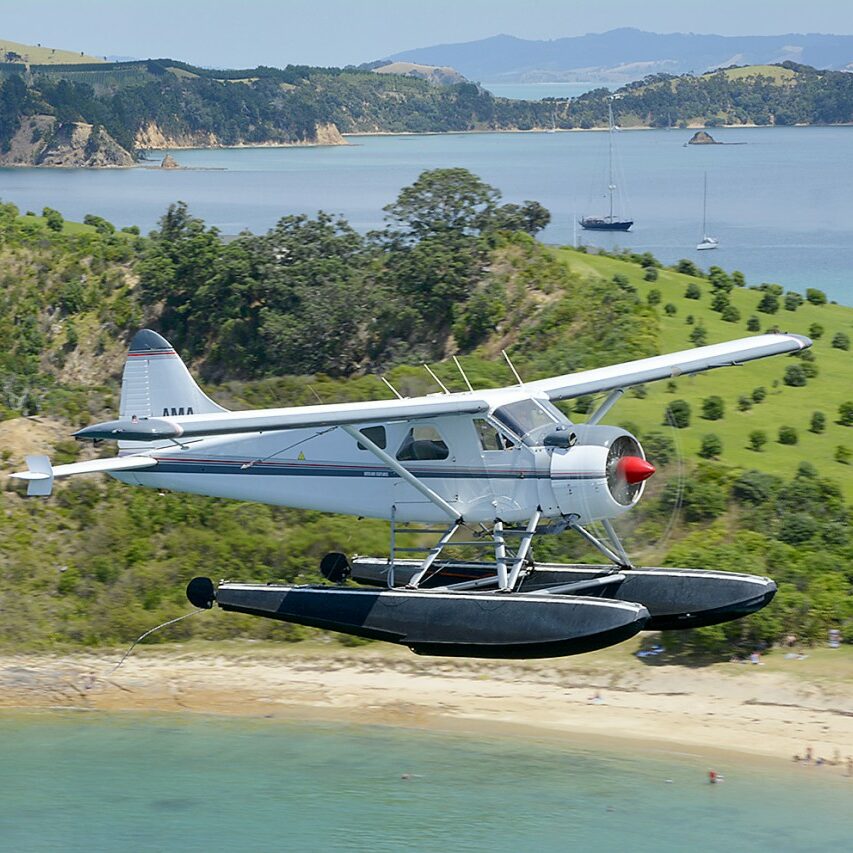 Scenic flights