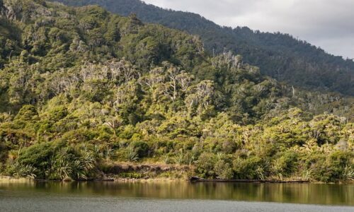 Heaphy River At Kahurangi National Park In New Zealand