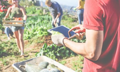 Helping On Farm