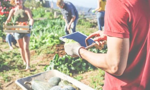 Helping On Farm