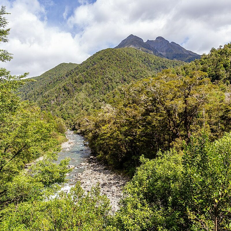 kahurangi np