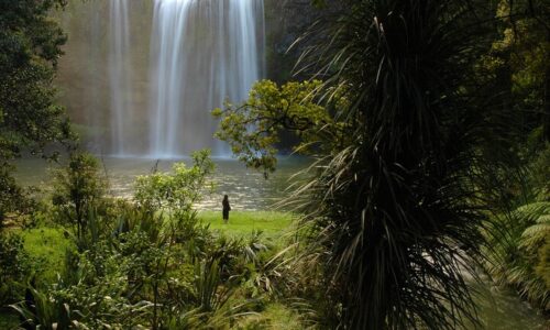 Whangarei Falls